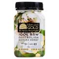 Nature's Gold 100% 澳洲純天然麥盧卡蜂蜜 (活性5+) - 500g